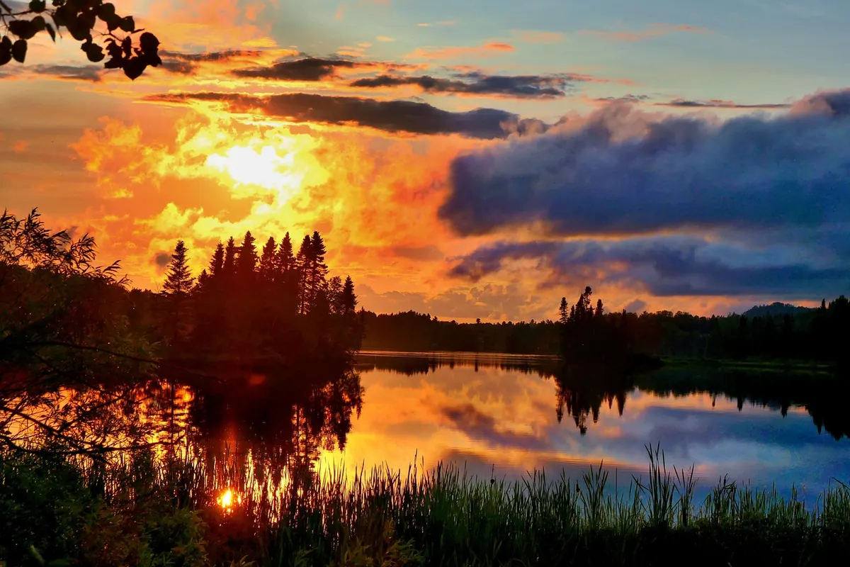 Best Time of Day to Visit Marsh Haven for Wildlife Watching